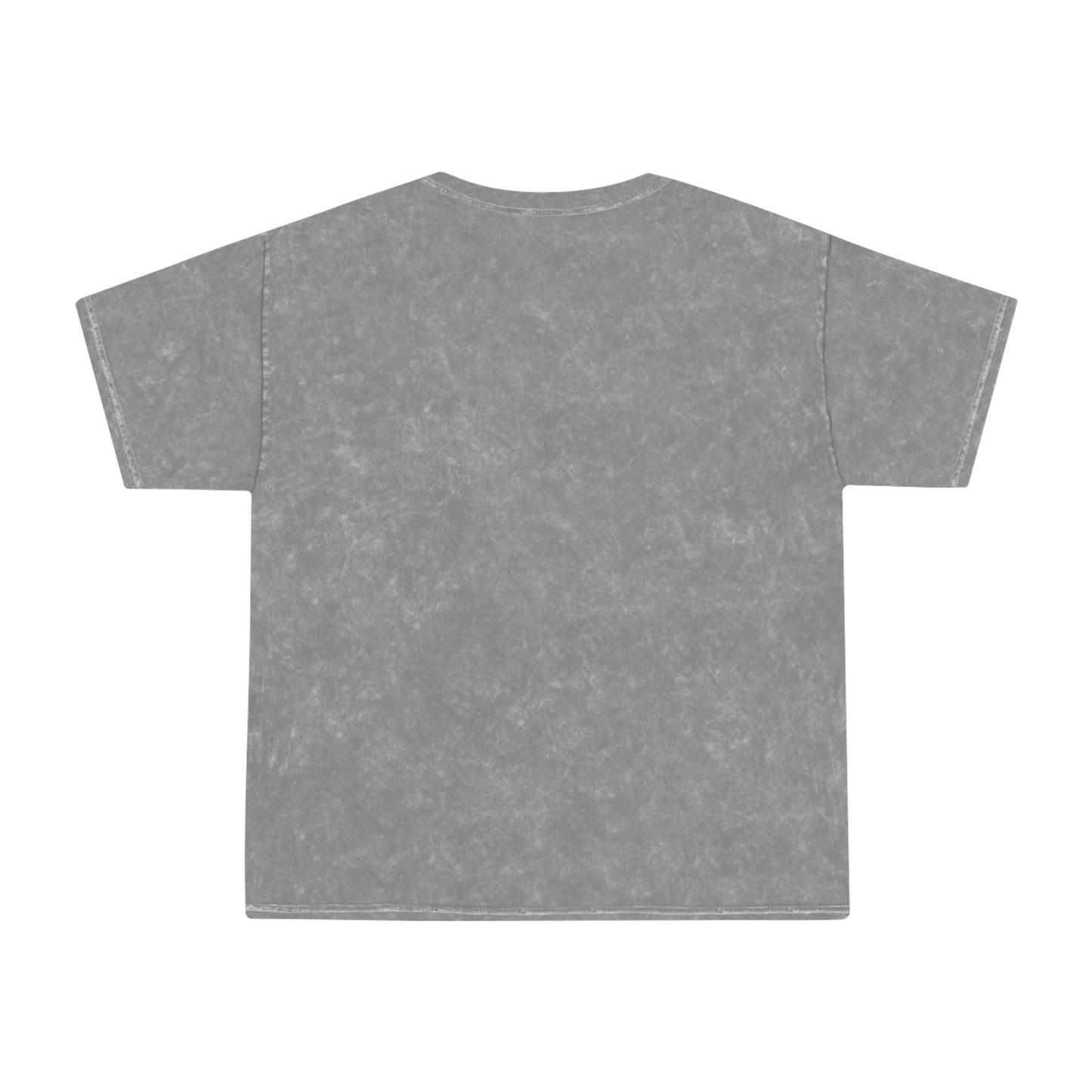 Mini Logo Mineral Wash Tee