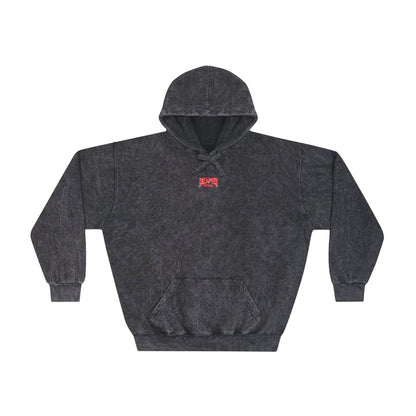 Mini Logo Mineral Wash Hoodie